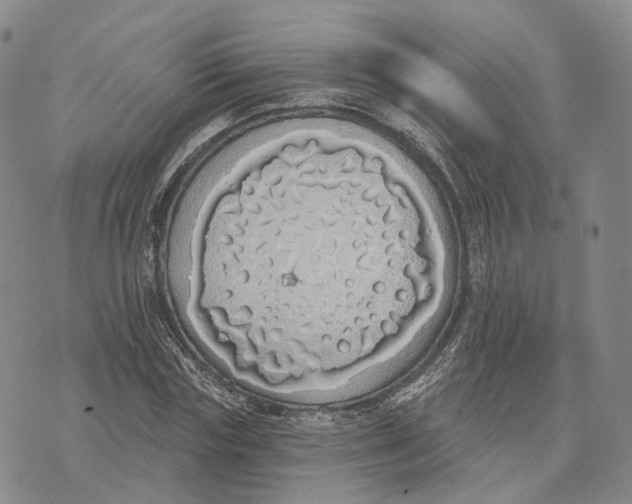 X0000072510827200608041504