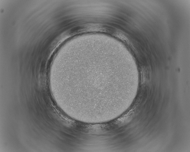 X0000072510828200608041504