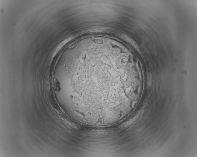 X0000072510829200608041504