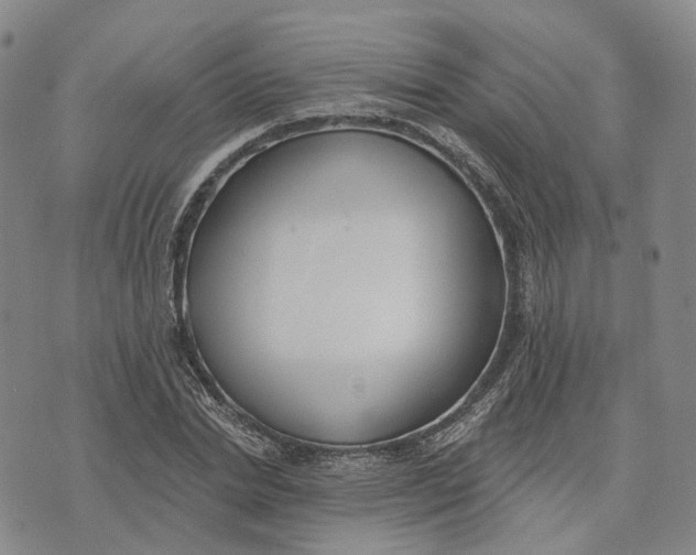 X0000072510830200608041504