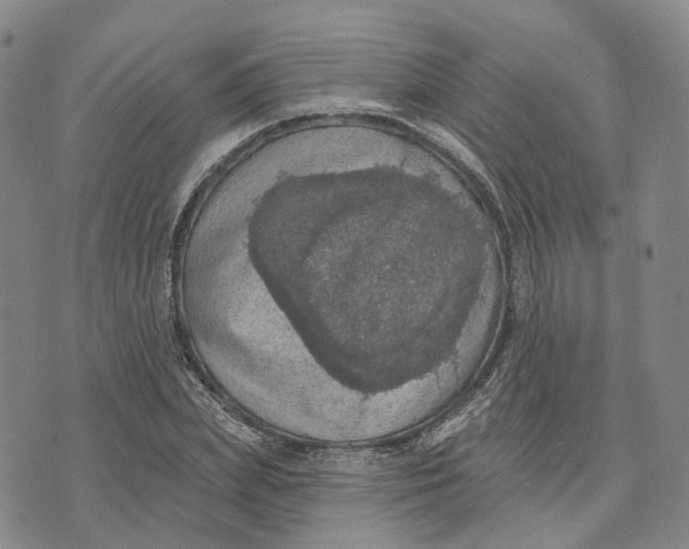 X0000072510831200608041504