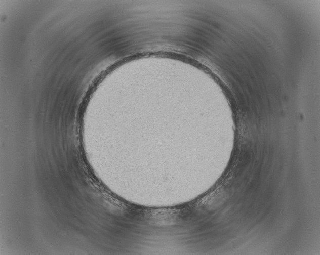 X0000072510832200608041504