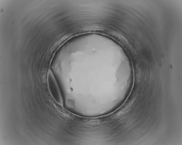 X0000072510833200608041504