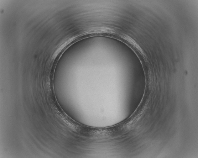 X0000072510834200608041504