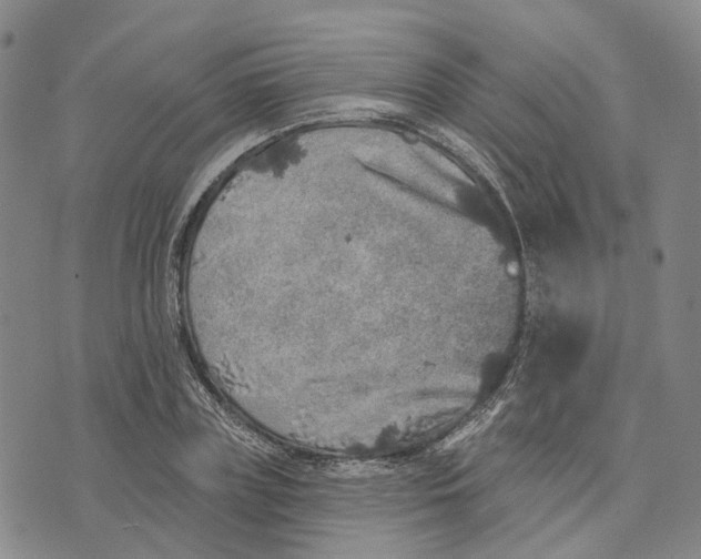 X0000072510835200608041504