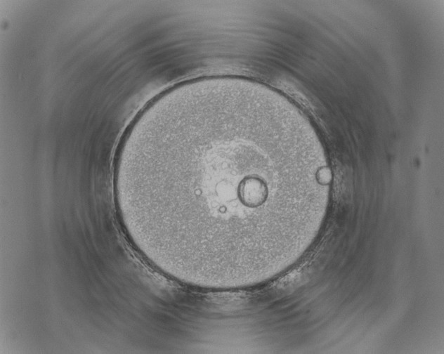 X0000072510836200608041504