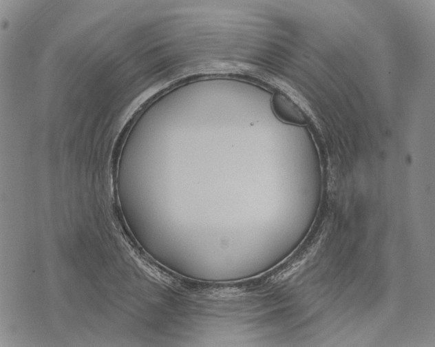 X0000072510837200608041504