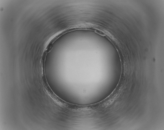 X0000072510838200608041504