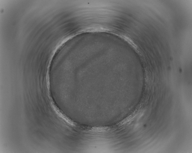 X0000072510840200608041504