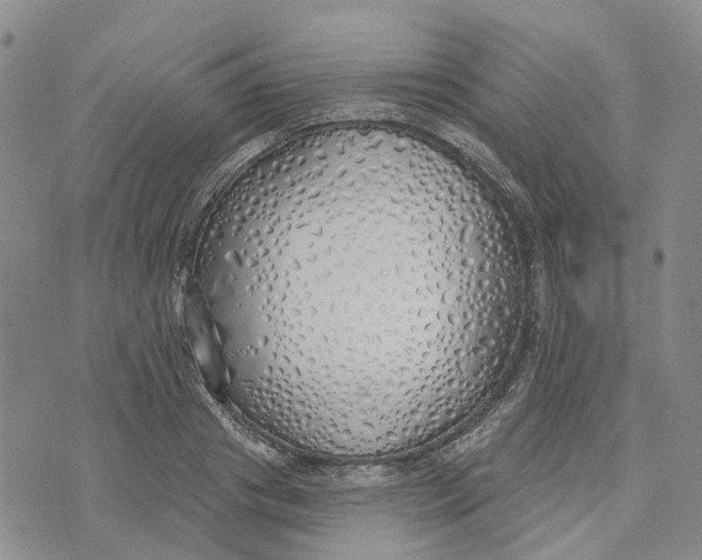 X0000072510841200608041504