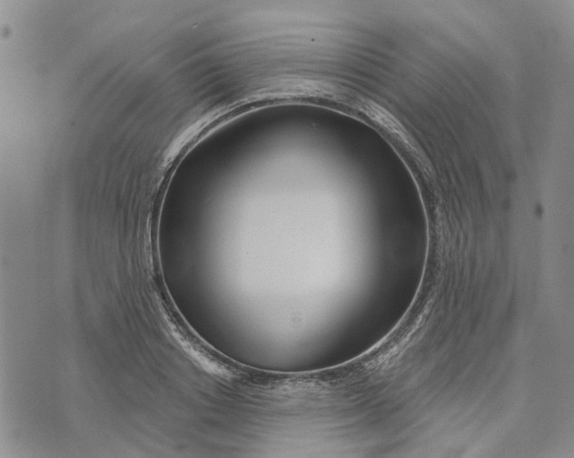 X0000072510842200608041504