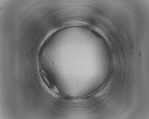 X0000072510843200608041504