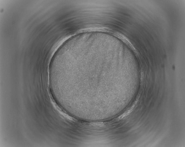 X0000072510844200608041504