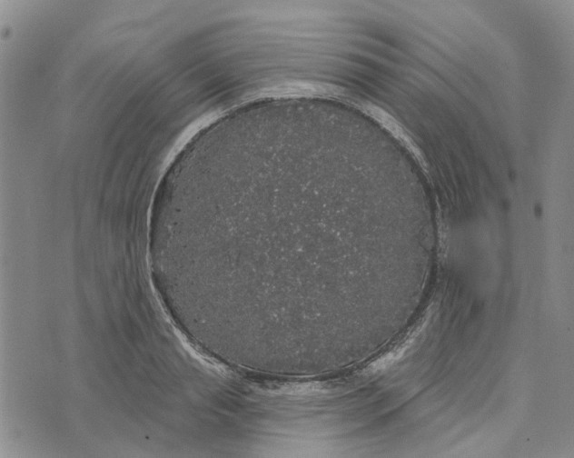 X0000072510845200608041504