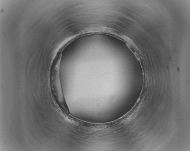 X0000072510846200608041504