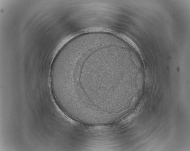 X0000072510847200608041504