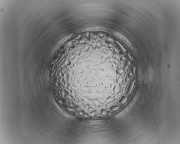 X0000072510849200608041504