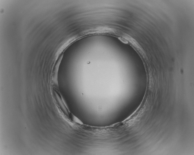 X0000072510850200608041504