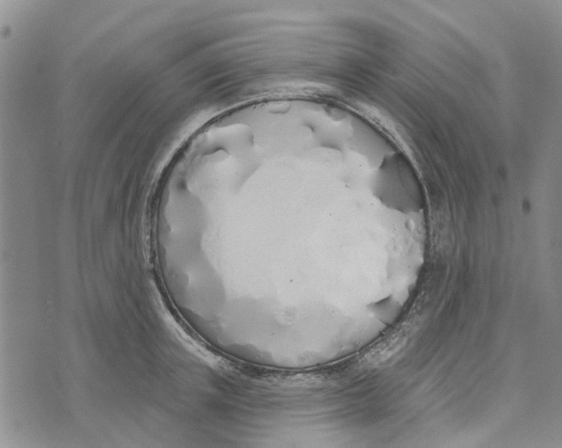 X0000072510851200608041504