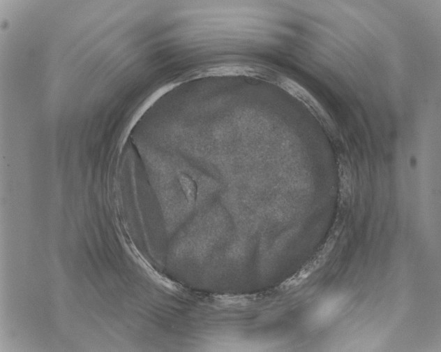 X0000072510852200608041504