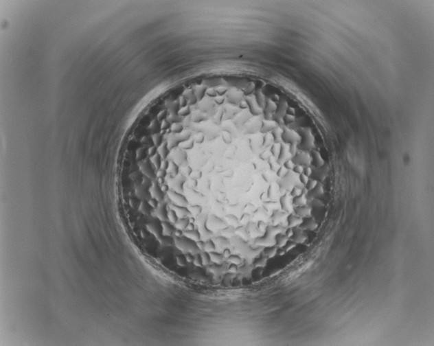 X0000072510853200608041504