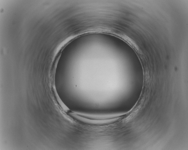 X0000072510854200608041504