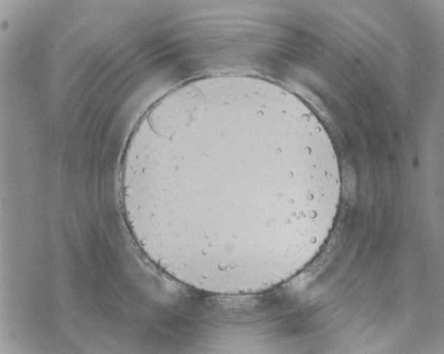 X0000072510856200608041504