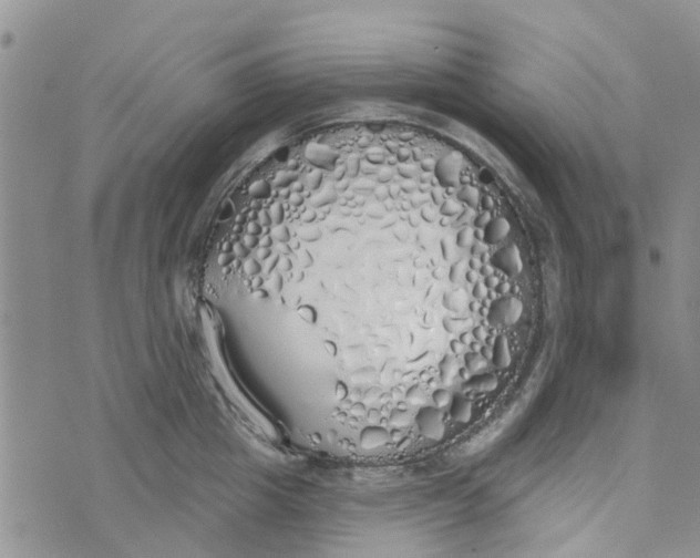 X0000072510857200608041504