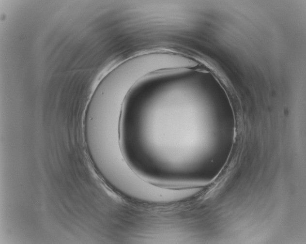 X0000072510858200608041504