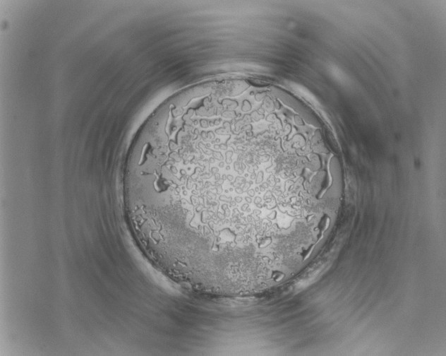 X0000072510859200608041504