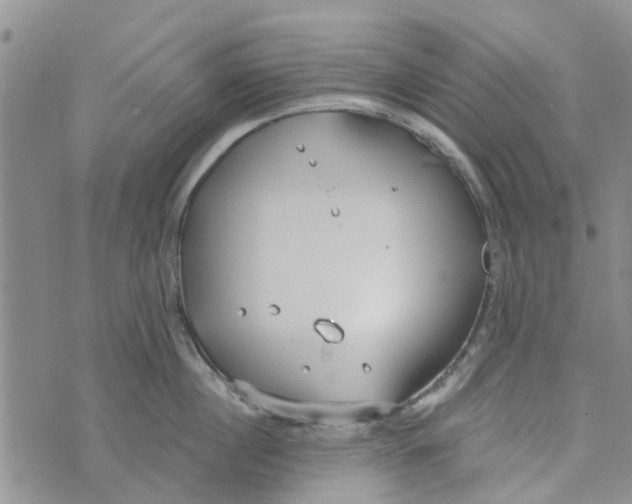 X0000072510860200608041505