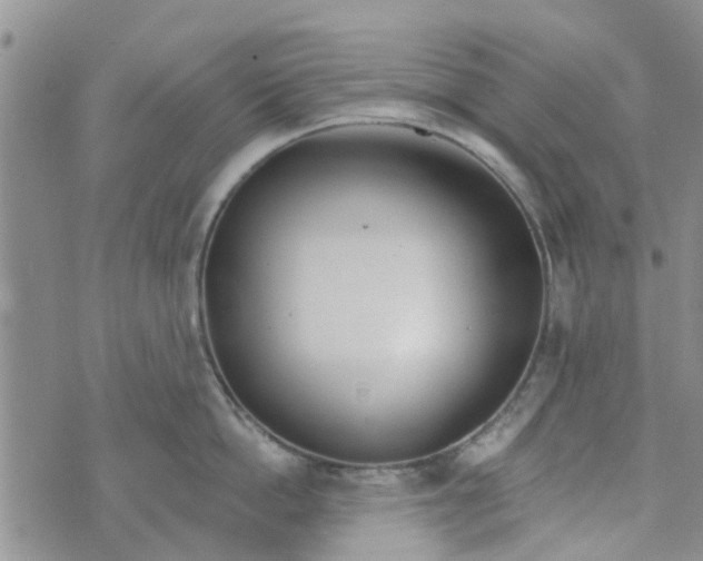 X0000072510862200608041505