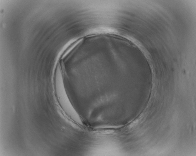 X0000072510864200608041505