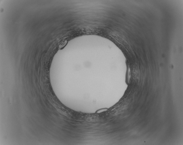 X0000072510865200608041504