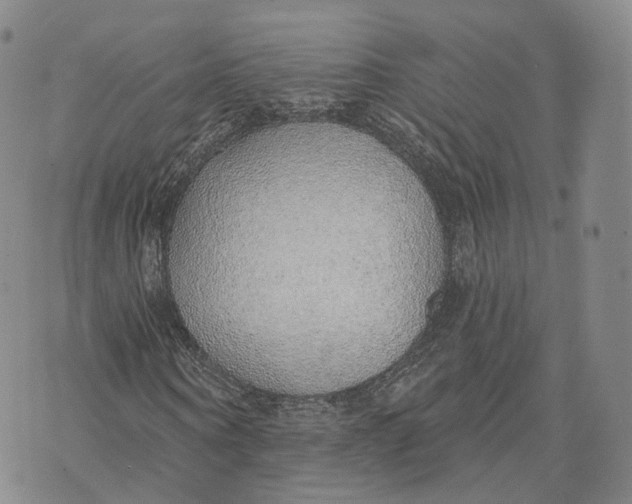 X0000072510866200608041504