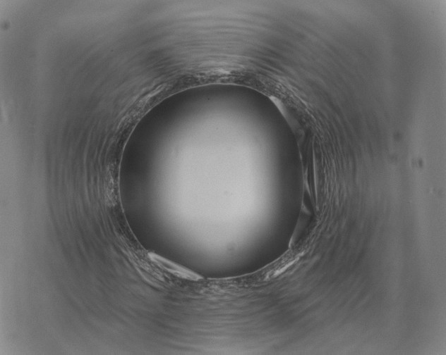 X0000072510868200608041504