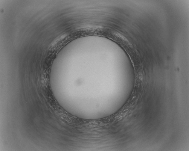 X0000072510869200608041504