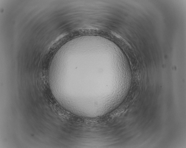 X0000072510870200608041504