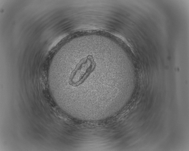 X0000072510871200608041504