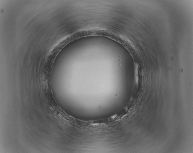 X0000072510872200608041504