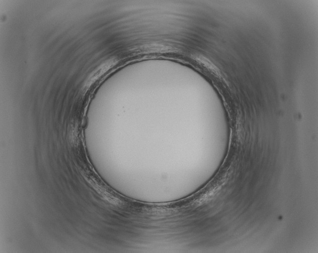 X0000072510873200608041504