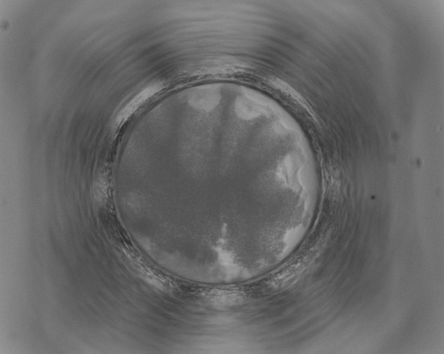 X0000072510874200608041504