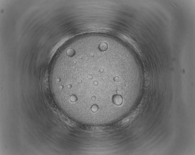 X0000072510875200608041504