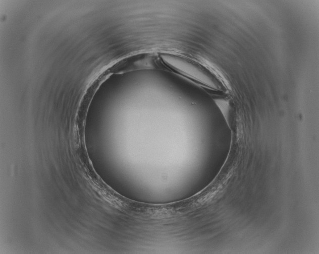 X0000072510876200608041504