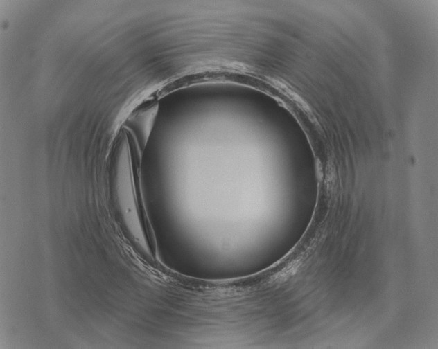 X0000072510877200608041504