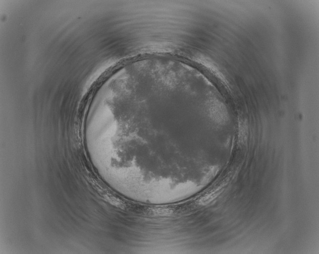 X0000072510878200608041504