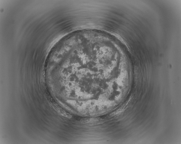 X0000072510879200608041504