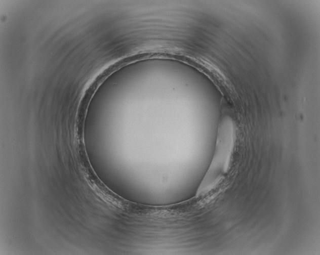 X0000072510880200608041504