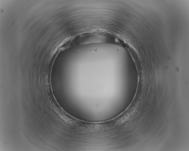 X0000072510881200608041504