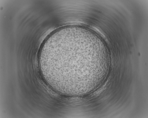 X0000072510883200608041503